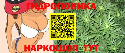 дурь Аргун