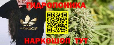 дурь Аргун
