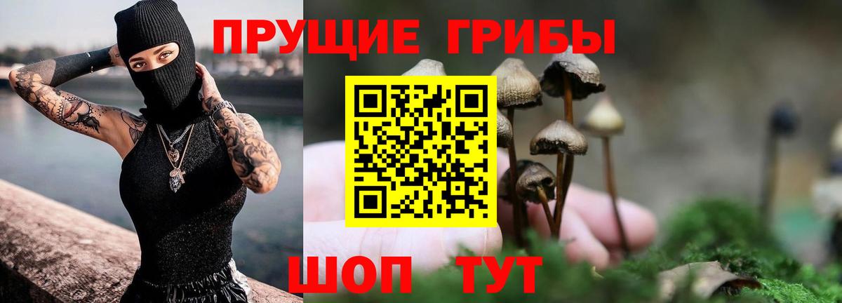 купить наркотики сайты  Псилоцибиновые грибы GOLDEN TEACHER  Галлюциногенные грибы мицелий  Вход с VPN  Верхняя Пышма 